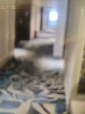 guest photo