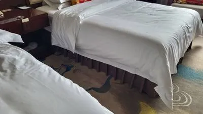 guest photo
