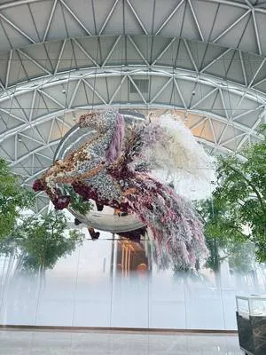 guest photo