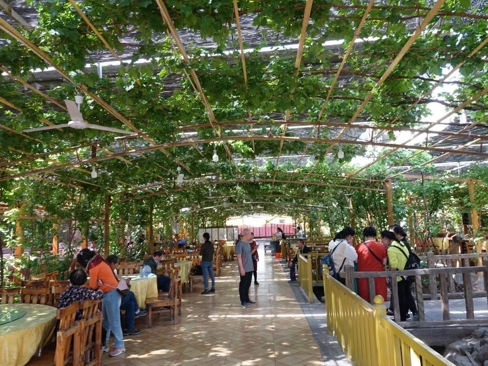 Tulufan Maixi Laifu Fengqing Zhuangyuan