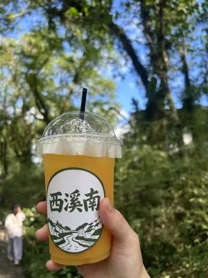guest photo