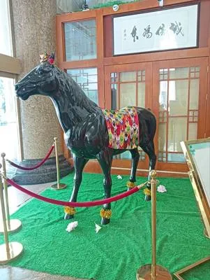 guest photo
