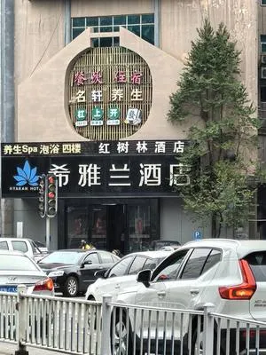 guest photo