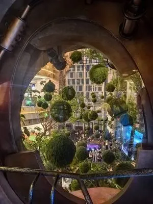guest photo