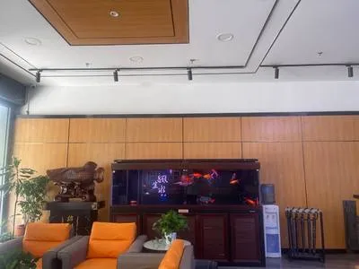 guest photo