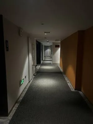 guest photo