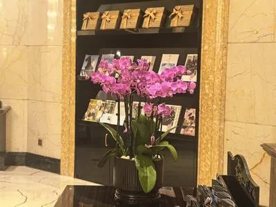 guest photo