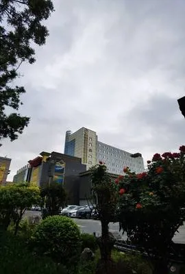 guest photo
