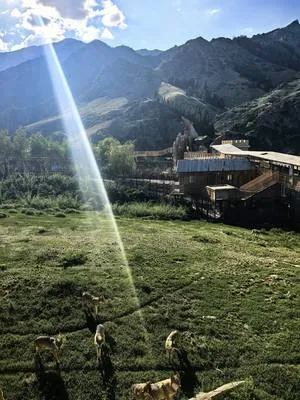 guest photo