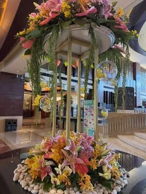 guest photo
