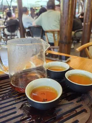 guest photo