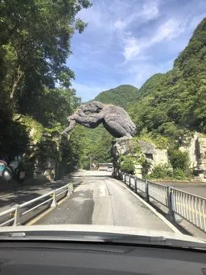 guest photo
