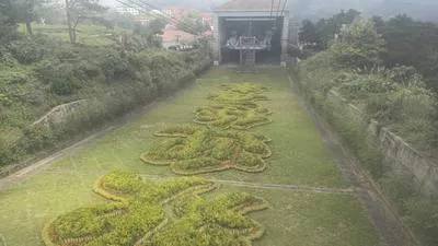 guest photo