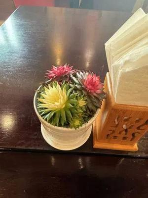 guest photo