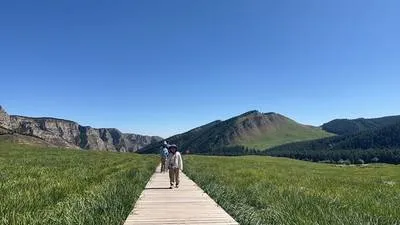 guest photo