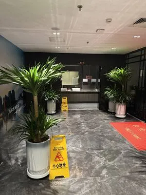 guest photo