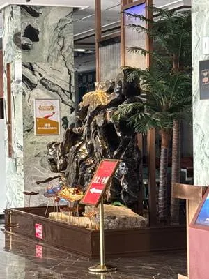 guest photo