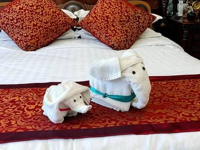 guest photo