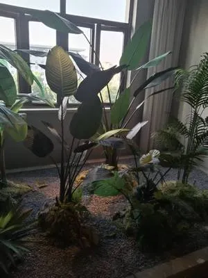 guest photo
