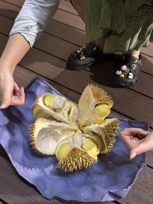 guest photo