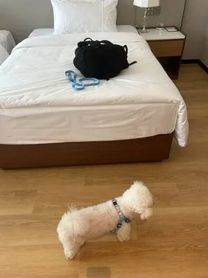 guest photo