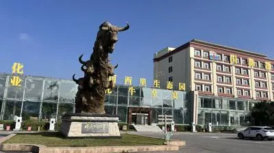 guest photo