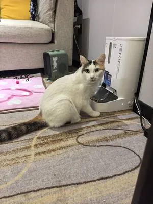 guest photo