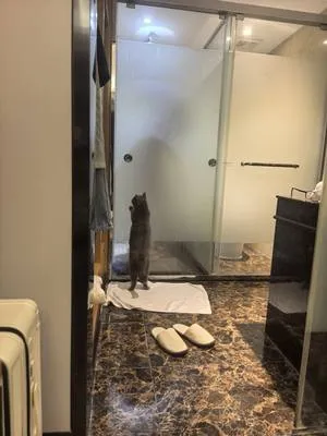guest photo