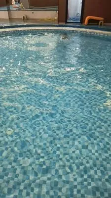 guest photo