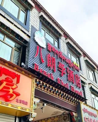 guest photo