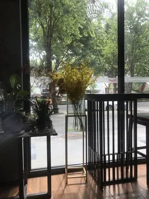 guest photo