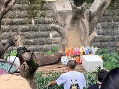 guest photo