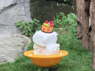 guest photo