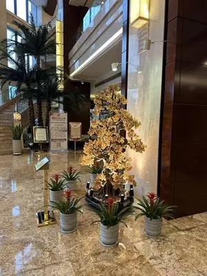 guest photo
