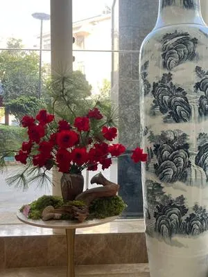 guest photo