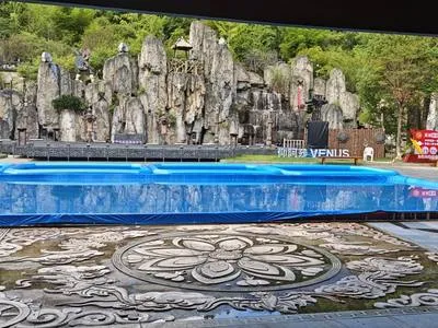 guest photo