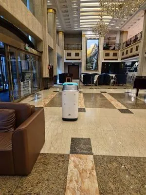 guest photo