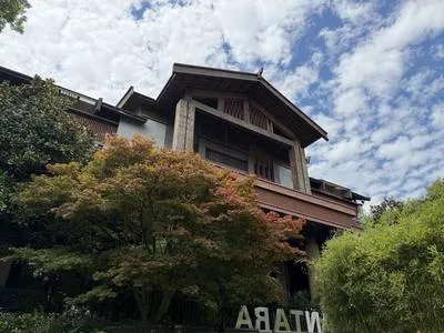 guest photo