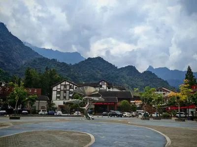 guest photo