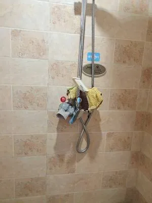 guest photo