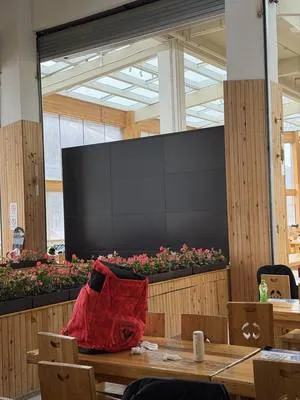 guest photo