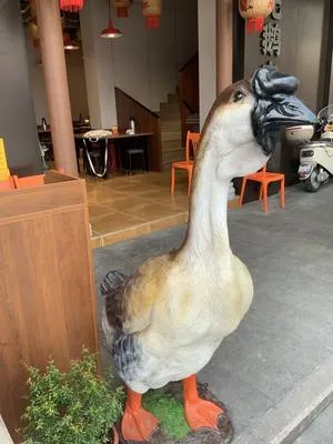guest photo