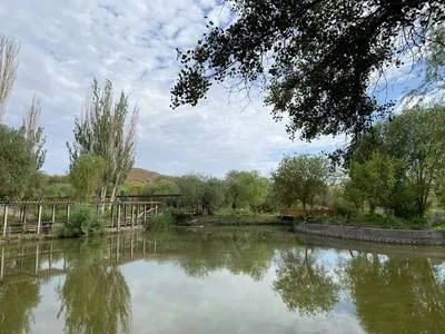 guest photo