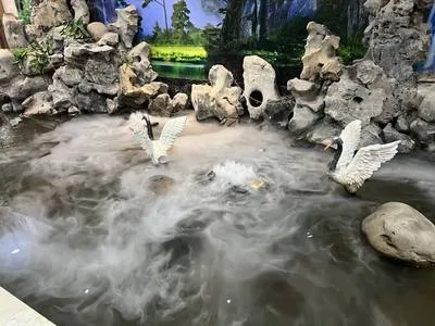 guest photo