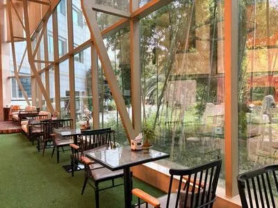 guest photo