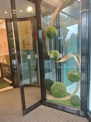 guest photo