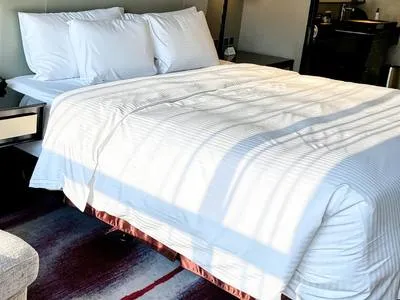 guest photo