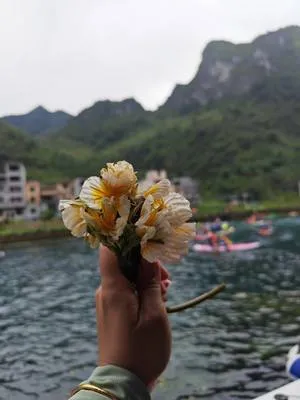 guest photo