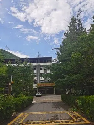 guest photo