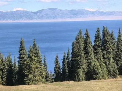 guest photo